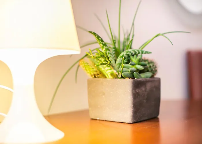 Skyline By Comorooms