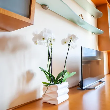 Apartment Skyline Como